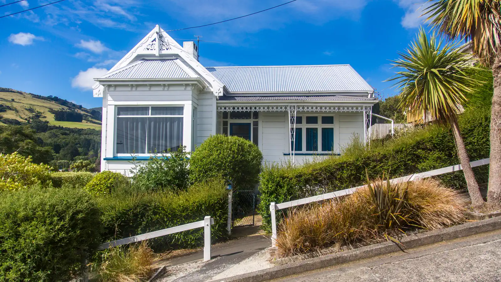White weatherboard villa with an iron roof and bay window behind a hedge, cabbage trees beside it