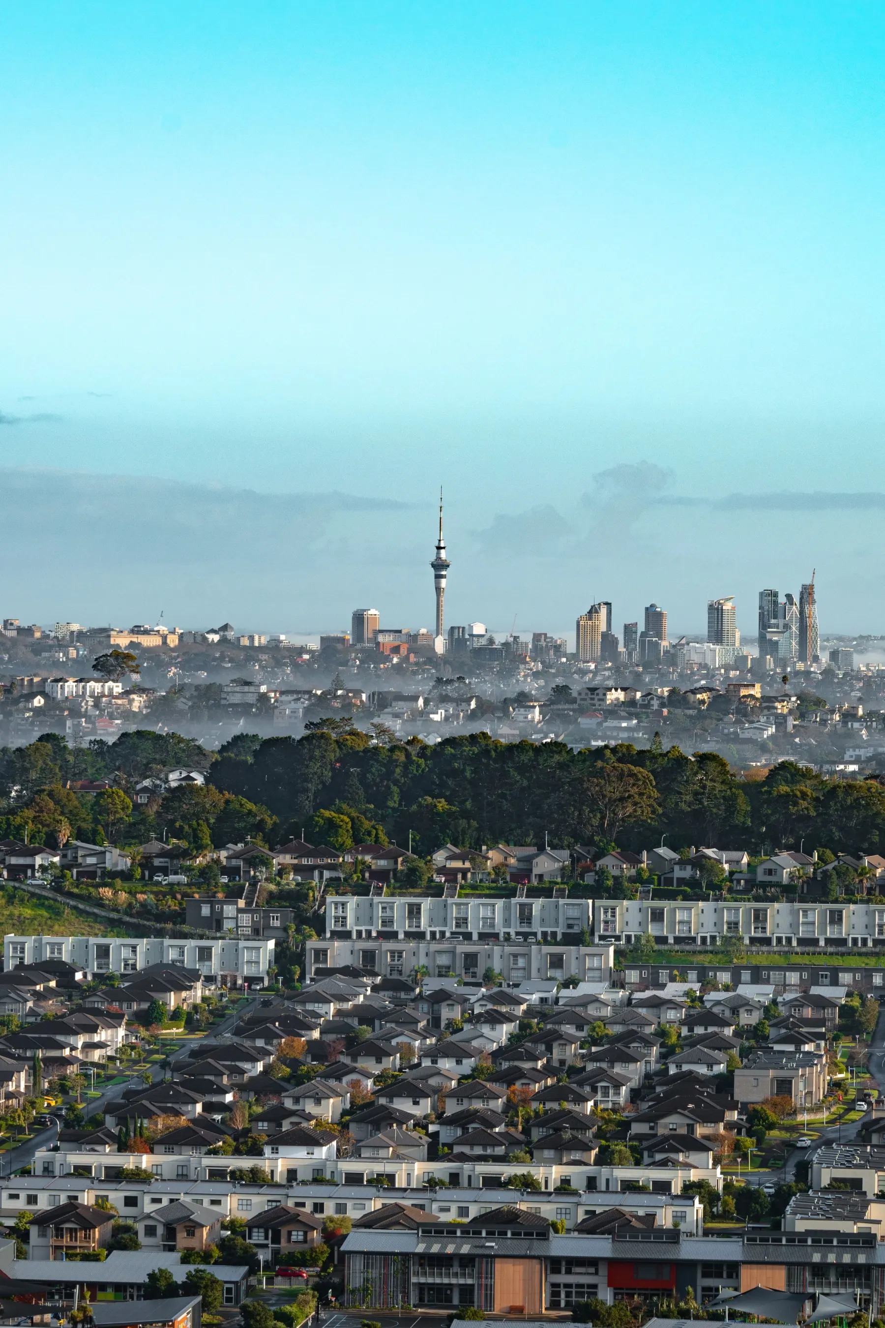 Auckland residential rooftops with the city skyline behind